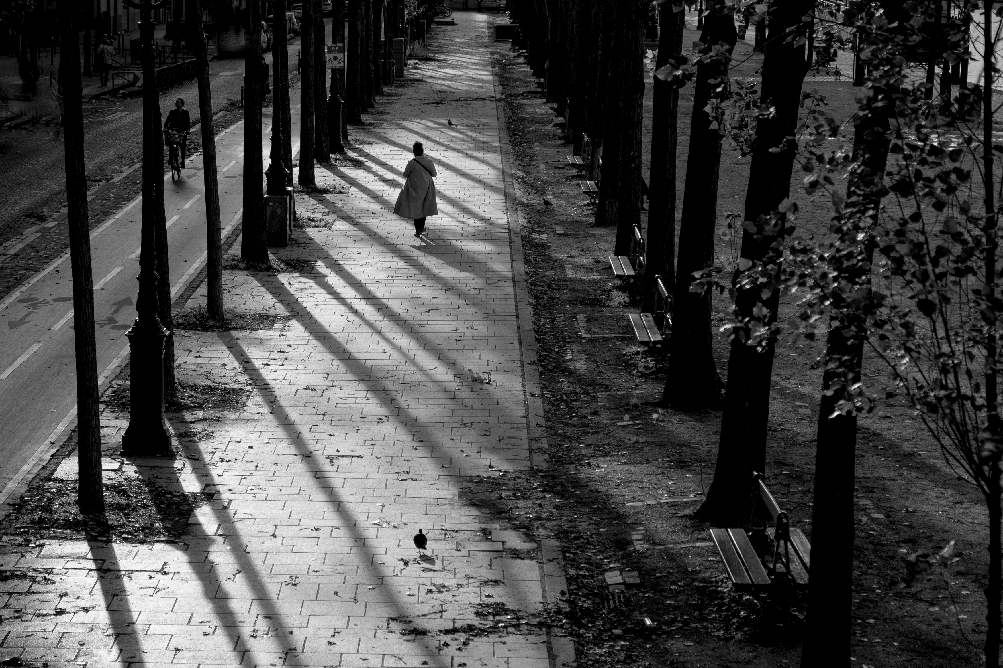 20221107-Bassin-Villette-27