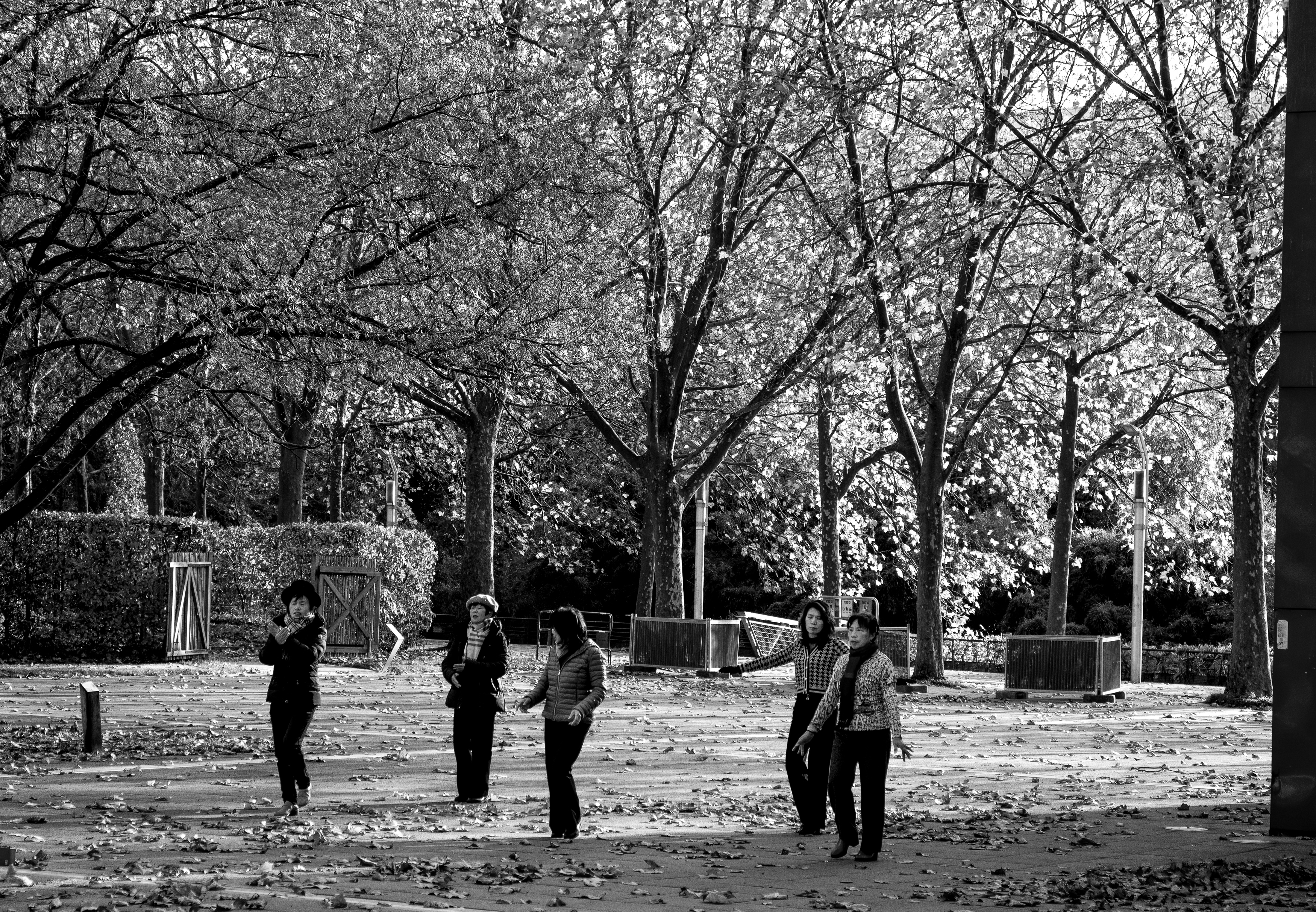 Parc de la Villette - Dance Class