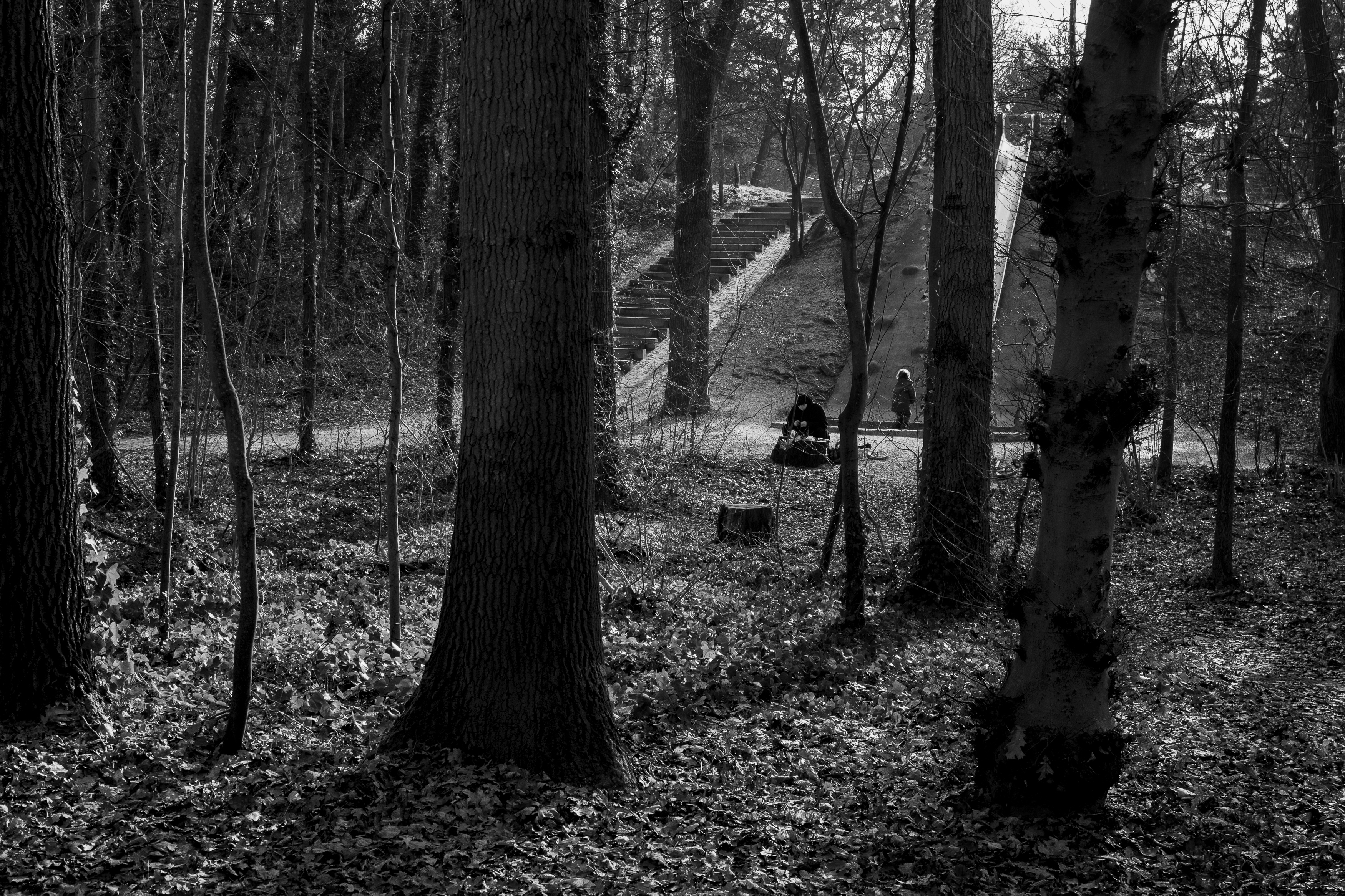 Sevran Forest